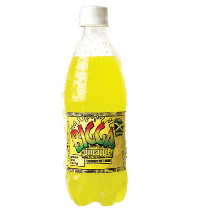 12 Drinks BIGGA 600ML ASSORTED BUNDLE & SAVE