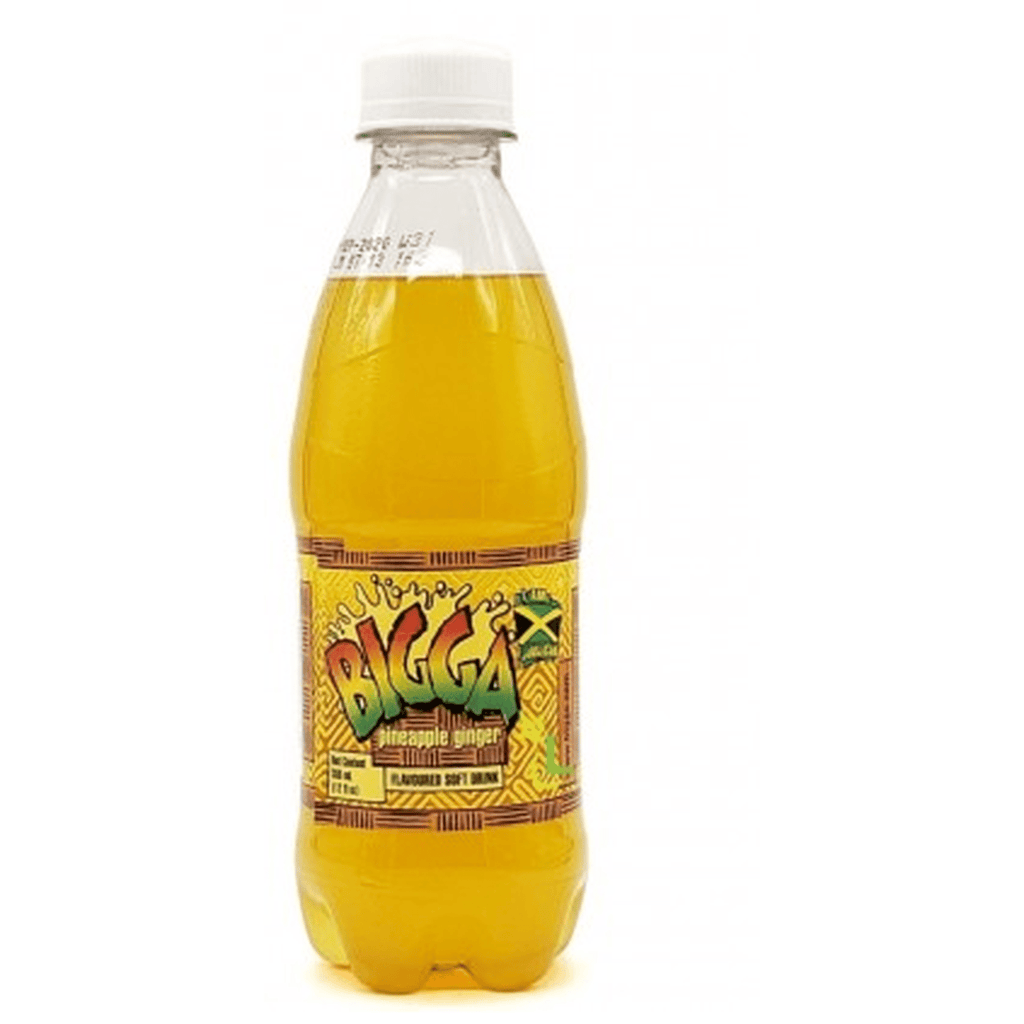 12 Drinks BIGGA 600ML ASSORTED BUNDLE & SAVE